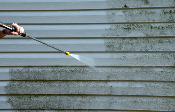 Best Restaurant Pressure Washing  in Brownsville, FL