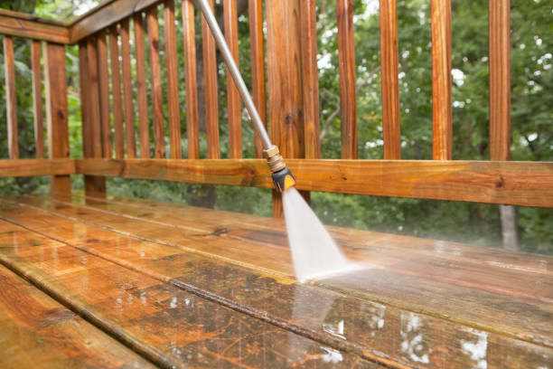 Professional Pressure Washing Services in Brownsville, FL